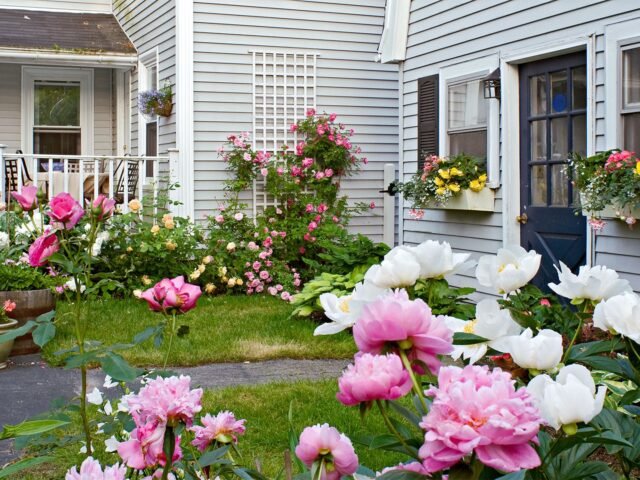 small garden ideas