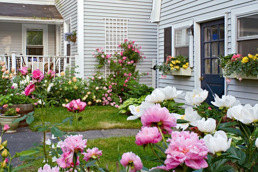 small garden ideas
