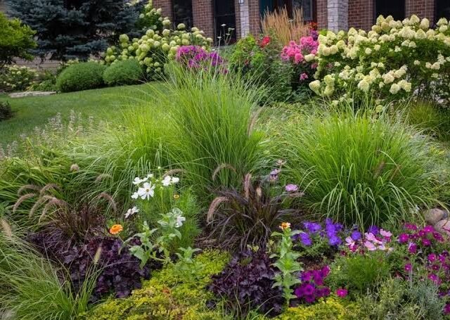 Low maintenance plants